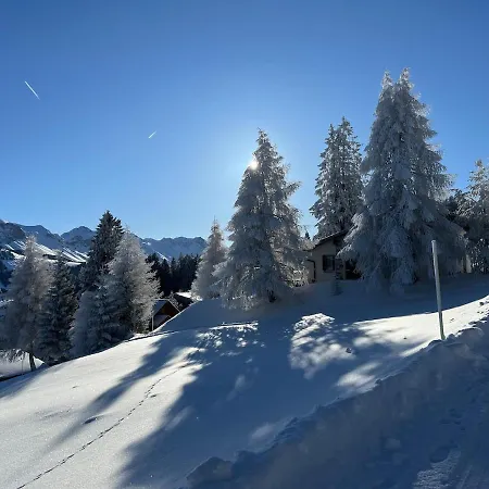 Gemuetliches Auf 1600m Hoehe Naehe Lenzerheide * 马里克斯