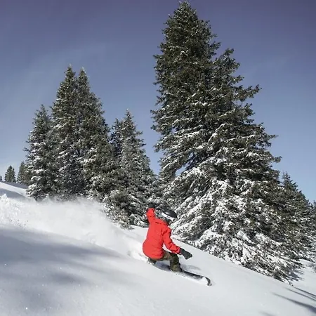 Apartment Gemuetliches Auf 1600m Hoehe Naehe Lenzerheide Malix