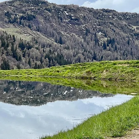 Gemuetliches Auf 1600m Hoehe Naehe Lenzerheide
