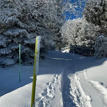 Gemuetliches Auf 1600m Hoehe Naehe Lenzerheide Apartment *