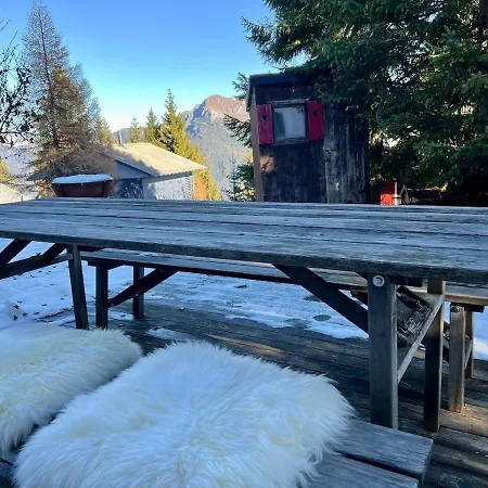 Gemuetliches Auf 1600m Hoehe Naehe Lenzerheide Malix