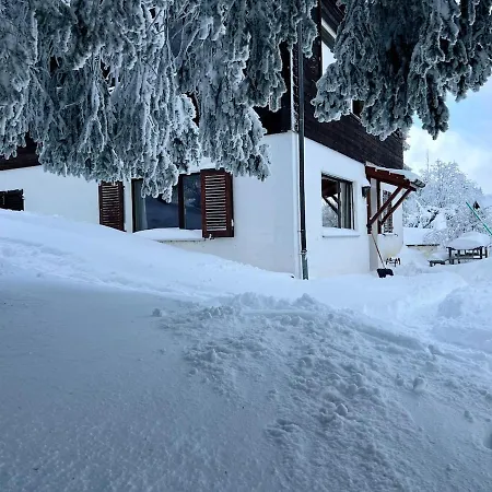 Gemuetliches Auf 1600m Hoehe Naehe Lenzerheide Apartment